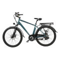 Chinese Supplier Cheap Rear Drive E Bike 36V Electric Bicycle